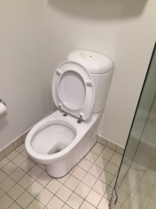 Mona Vale Toilet Repair                                            